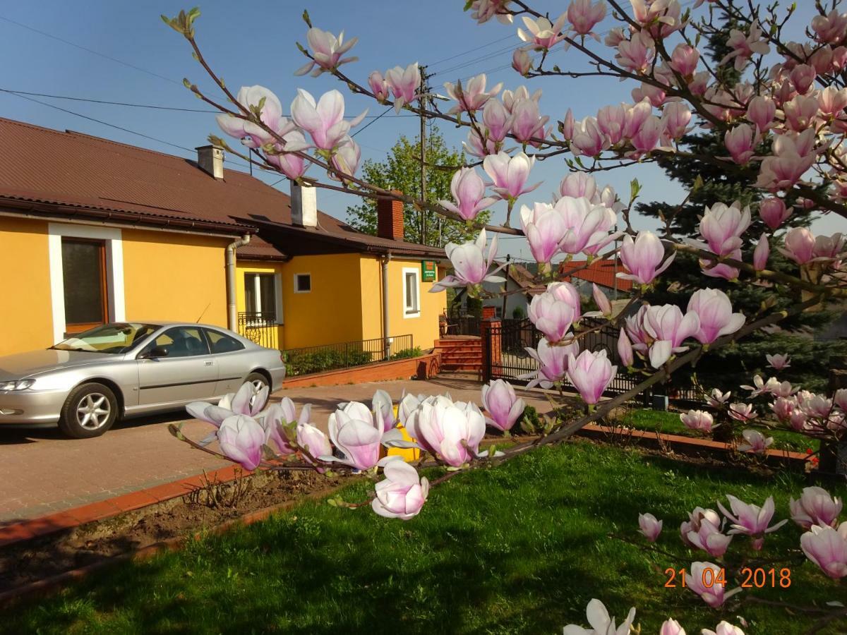 Przy Swierku Farm stay
